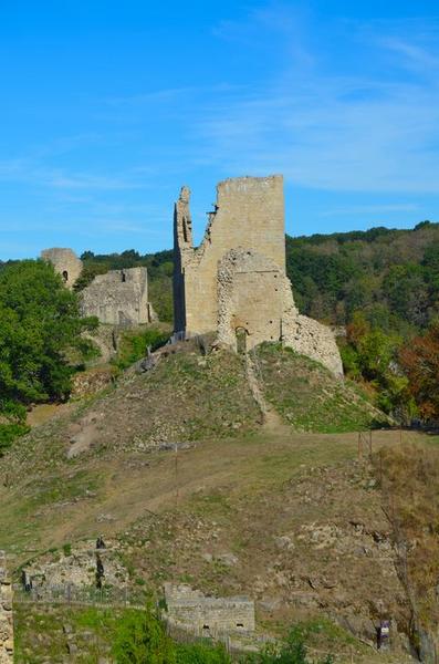 vue générale des ruines dans leur environnement