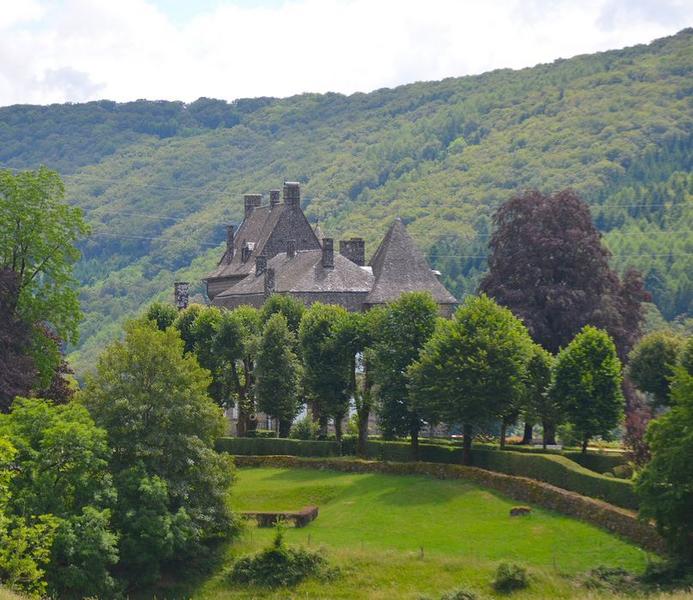 vue générale des toitures du château dans leur environnement