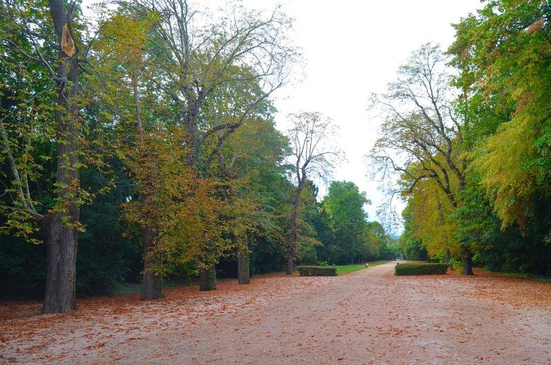 parc, allée ouest, vue générale