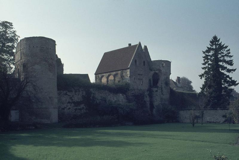 Ruines du château : tour et logis