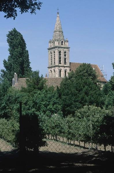 Clocher depuis un jardin