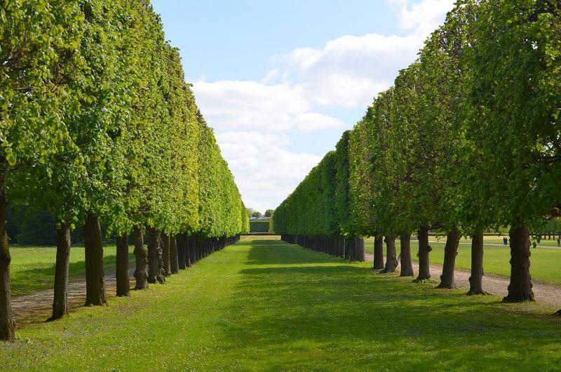 grande perspective, allée latérale, vue partielle