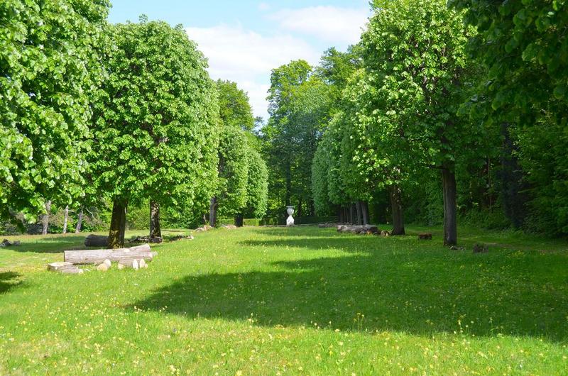 parc, vue partielle