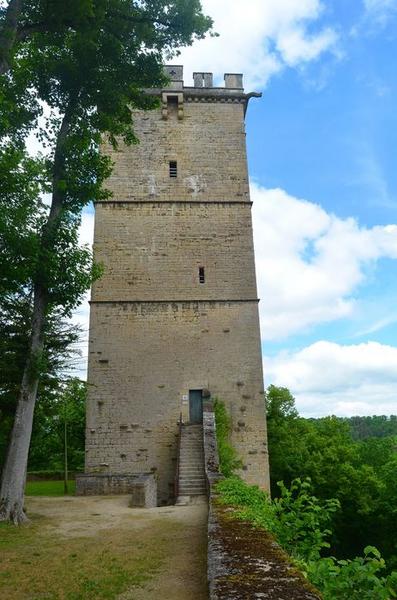 tour du château, élévation sud, vue générale