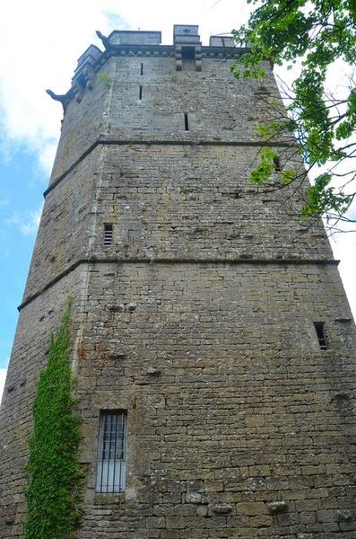 tour du château, élévation ouest, vue générale