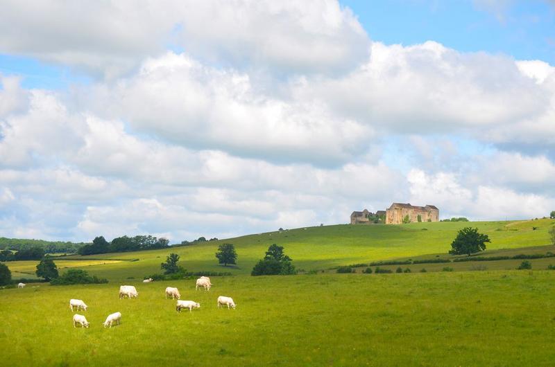 vue générale de la maison-forte dans son environnement