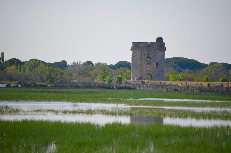 vue générale de la tour dans son environnement