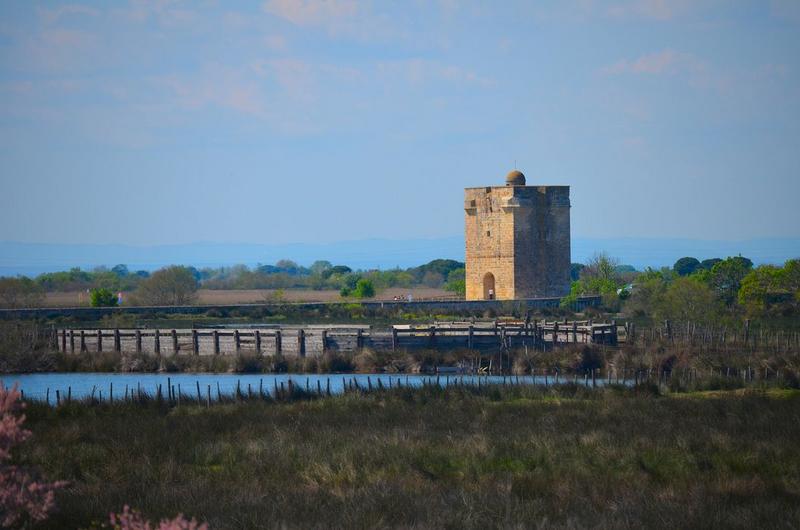 vue générale de la tour dans son environnement