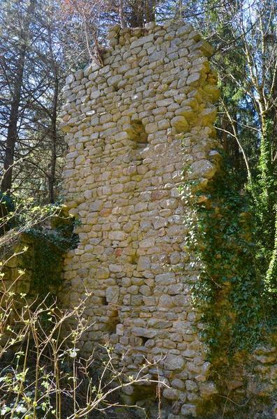 Vue partielle des ruines