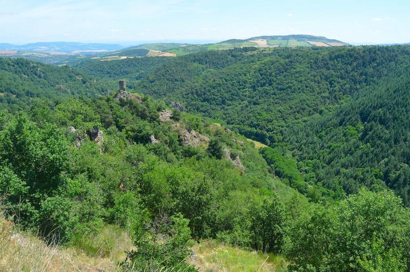 vue générale de la tour dans son environnement