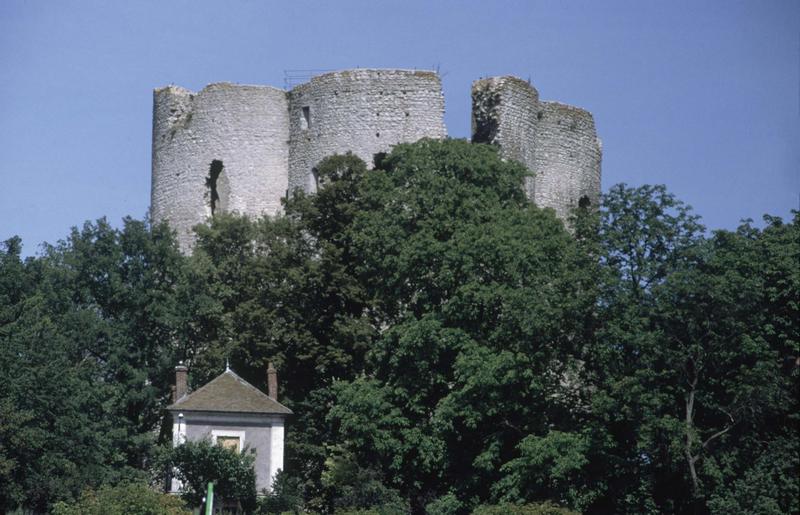 Ruines du donjon, arbres au premier plan