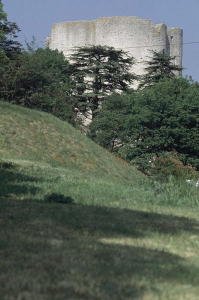 Ruines du donjon, arbres au premier plan