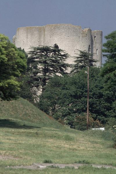 Ruines du donjon, arbres au premier plan