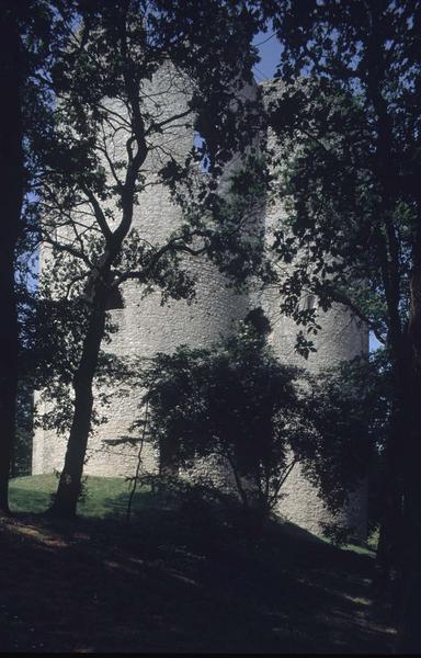 Ruines du donjon, arbres au premier plan