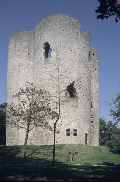 Ruines du donjon