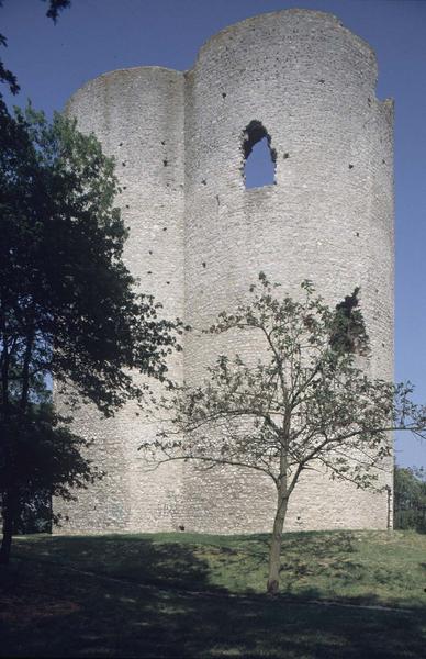 Ruines du donjon