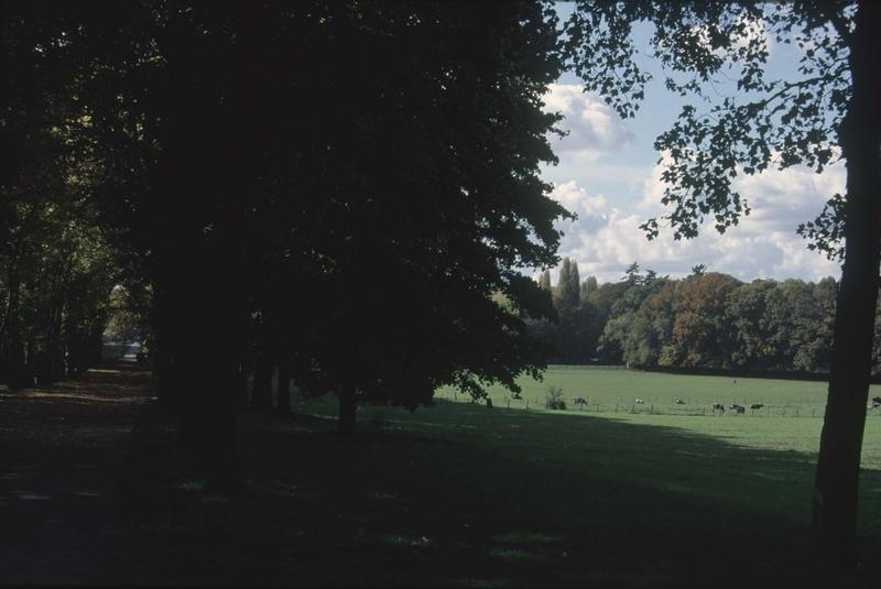 Vue générale du parc, vaches dans un pré