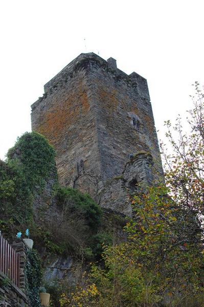 façades nord et ouest du donjon, vue générale