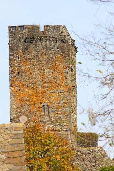 élévation sud-ouest du donjon, vue générale