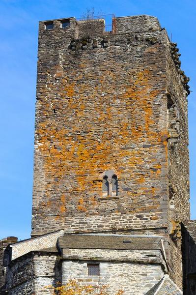 élévation sud-ouest du donjon, vue générale