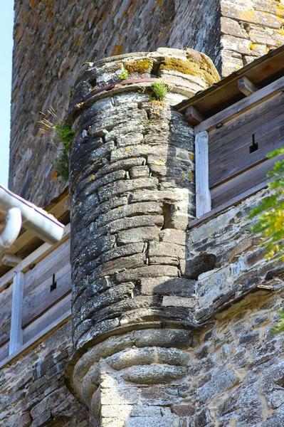 détail d'une des échauguettes précédant l'accès au donjon