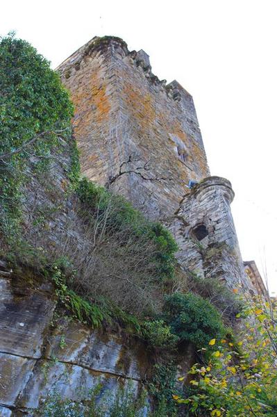 élévation nord-ouest du donjon, vue générale