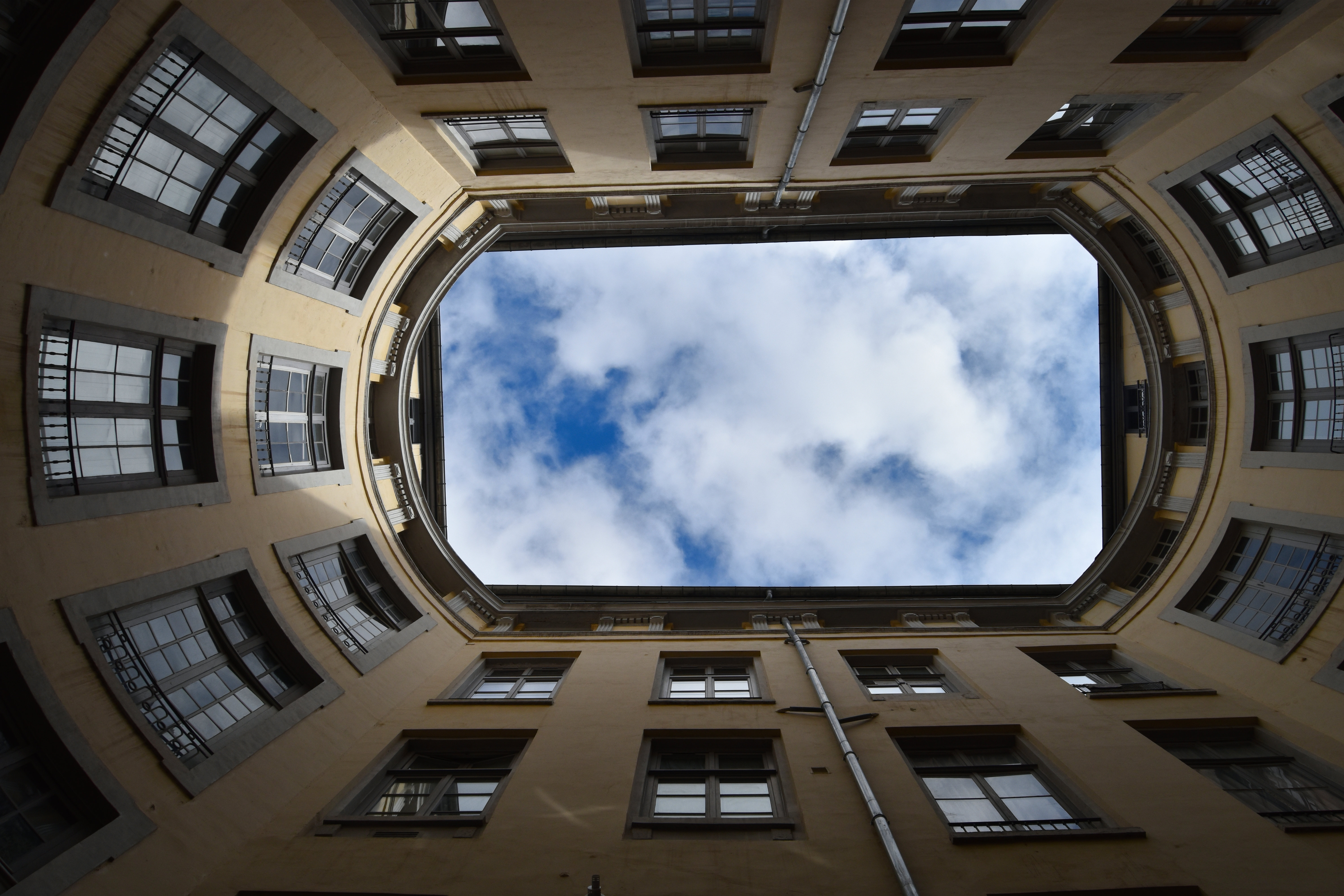 cour, vue générale