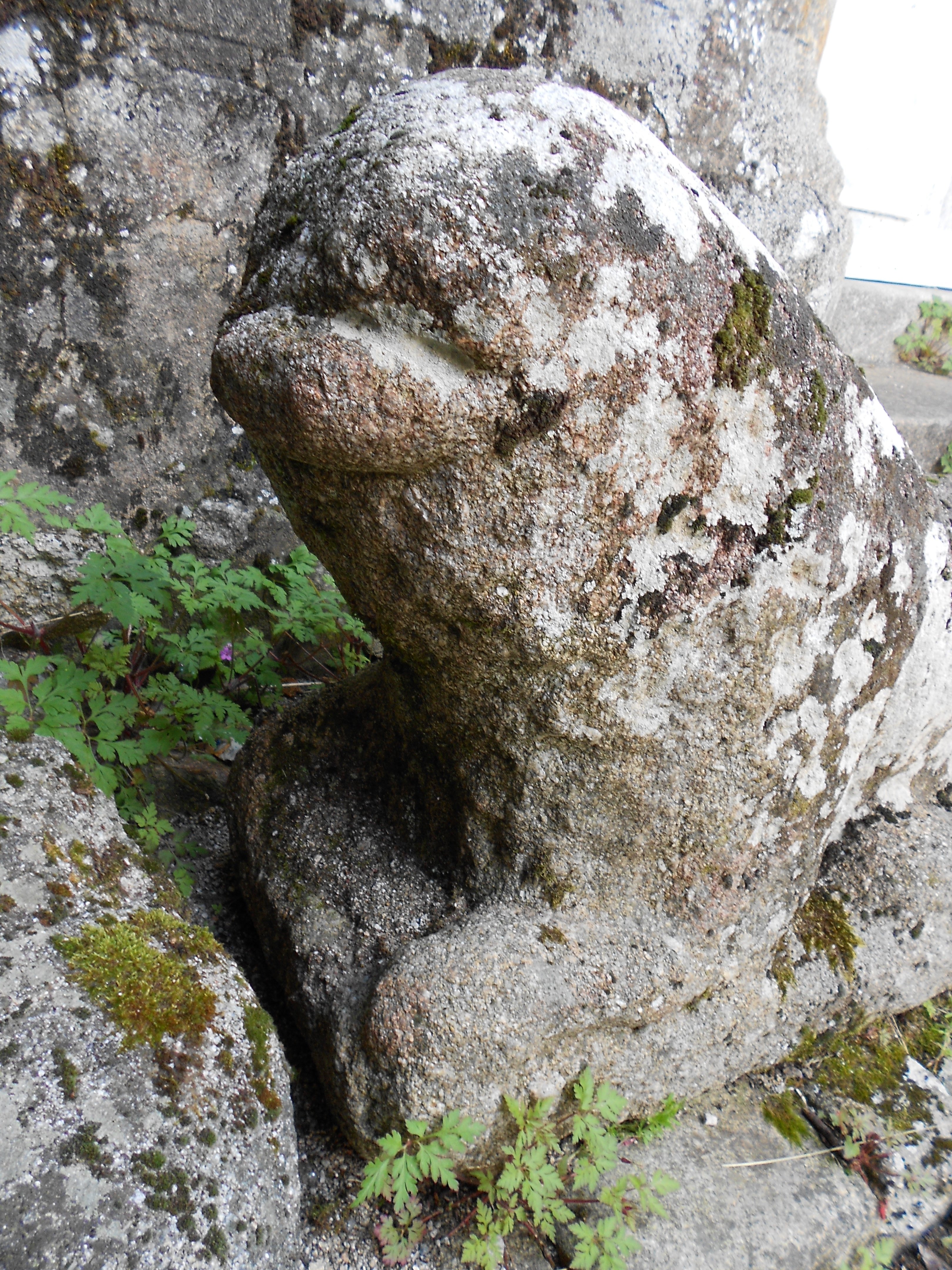 porche occidental, lion couché, détail