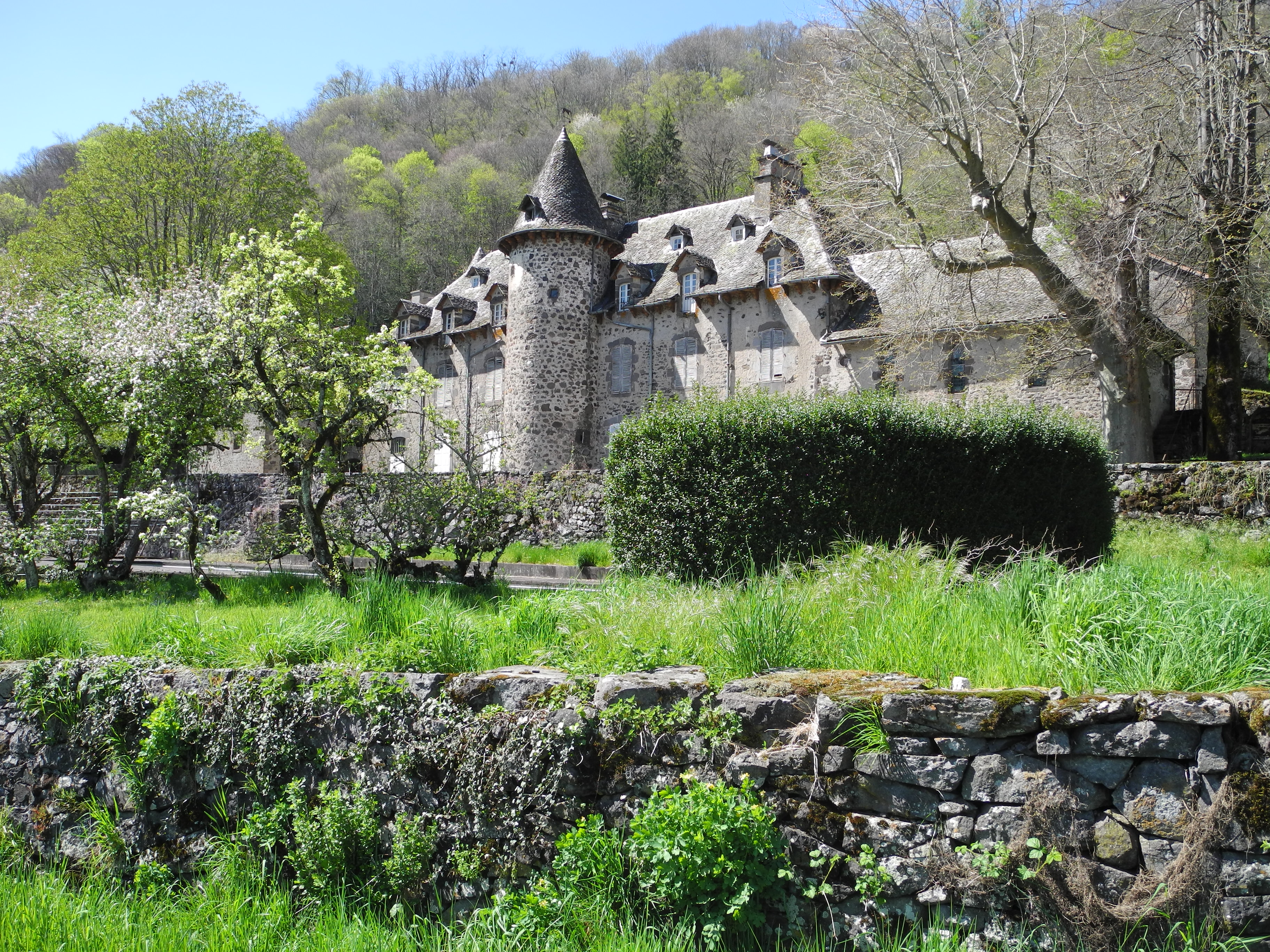 vue générale du château dans son environnement