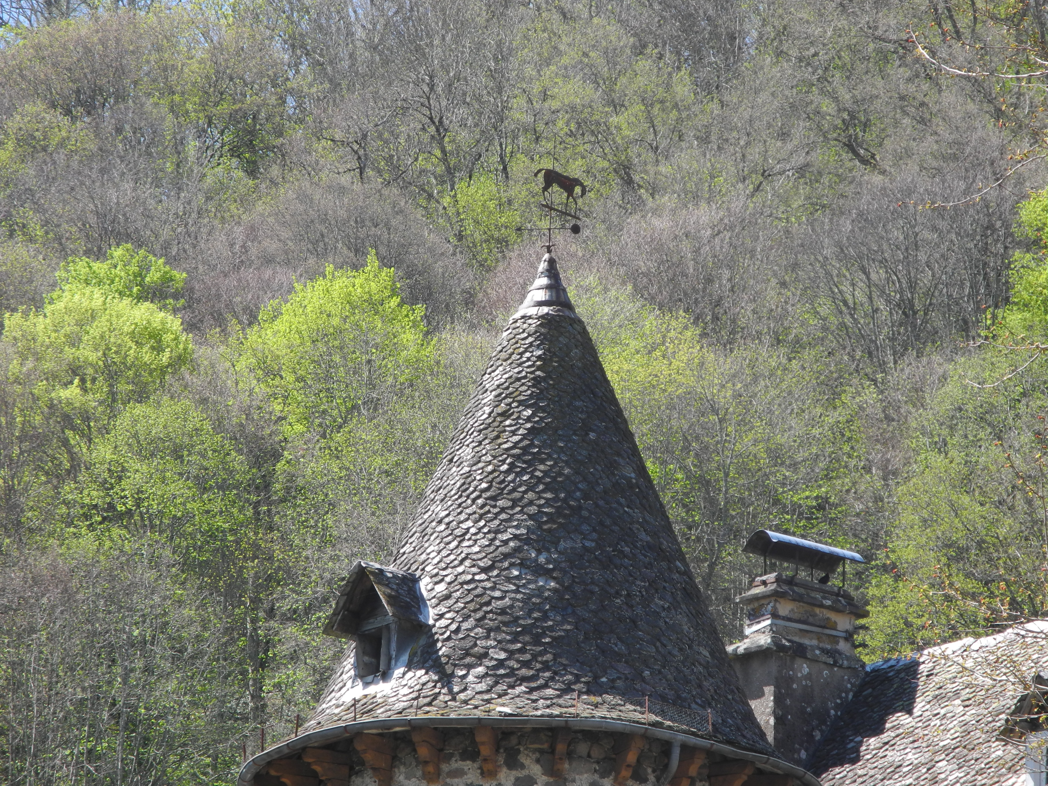 tour sud, détail de la couverture