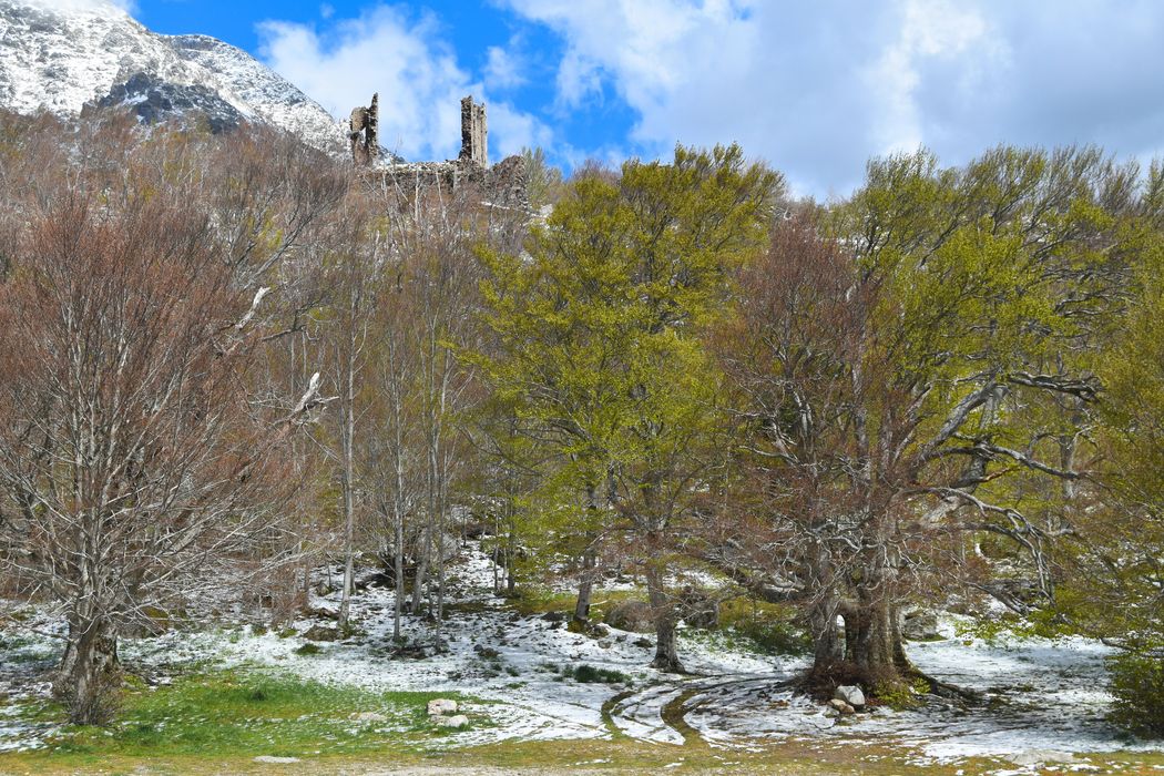 Ruines du Fort de Vizzavona : vue générale du fort dans son environnement