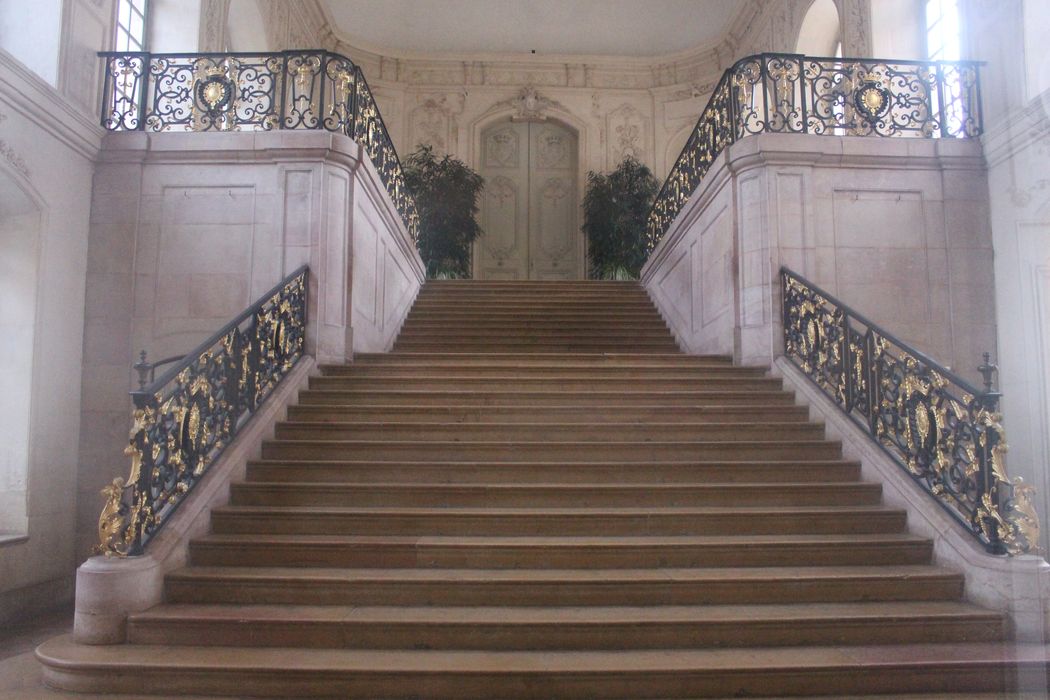 Palais des Ducs et des Etats de Bourgogne (ancien) : Escalier monumental, vue générale