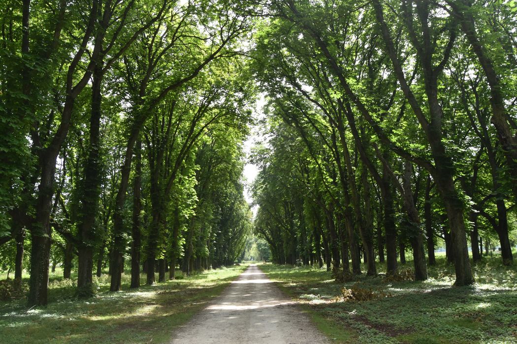 Château : Grande allée sud-est, vue générale