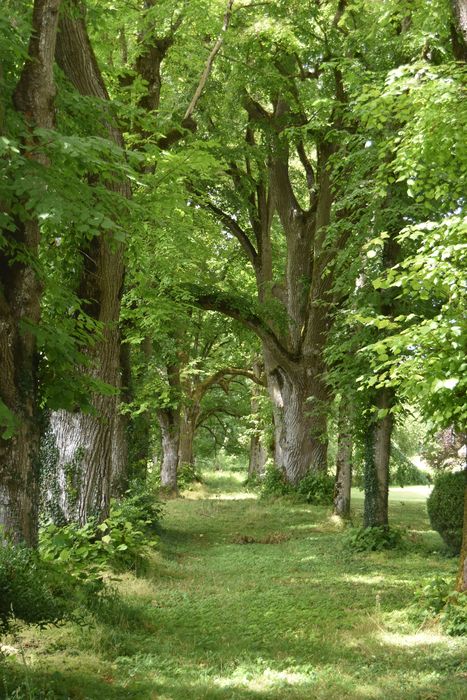 Château : Jardin nord-ouest, détail d'une allée