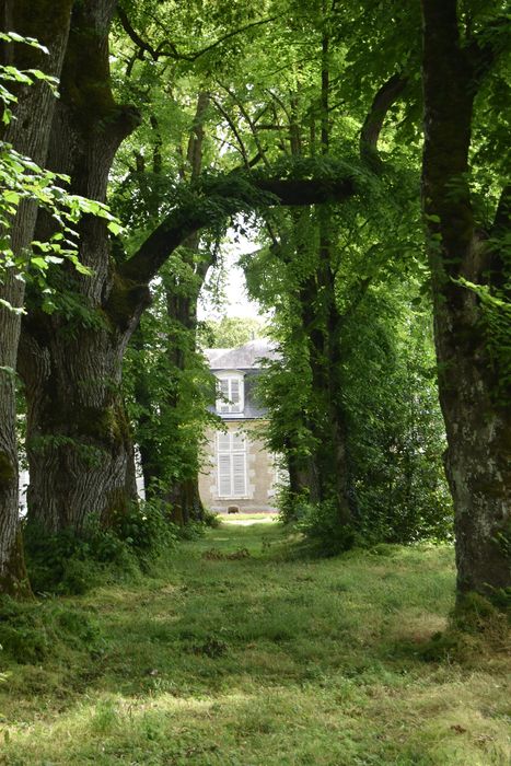 Château : Jardin nord-ouest, détail d'une allée