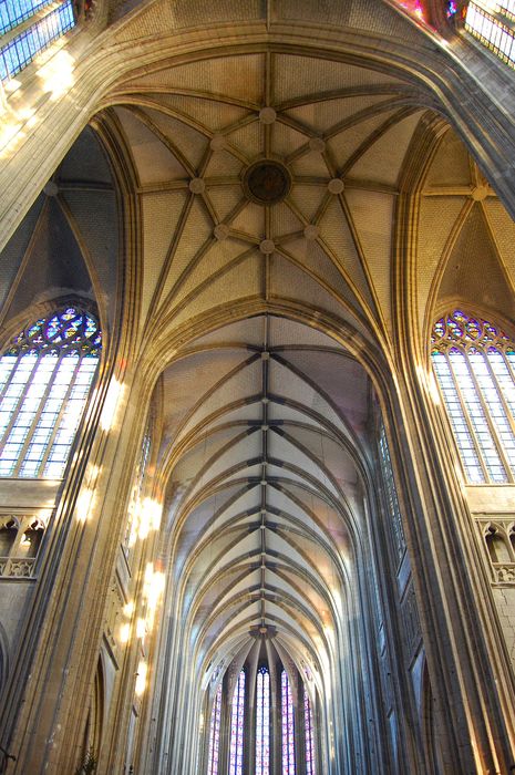 Cathédrale Sainte-Croix : Nef, vue générale de la voûte