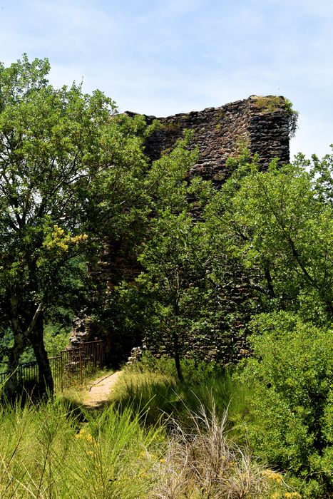 Restes du château de Thuriès : Vue partielles des ruines depuis l'Est