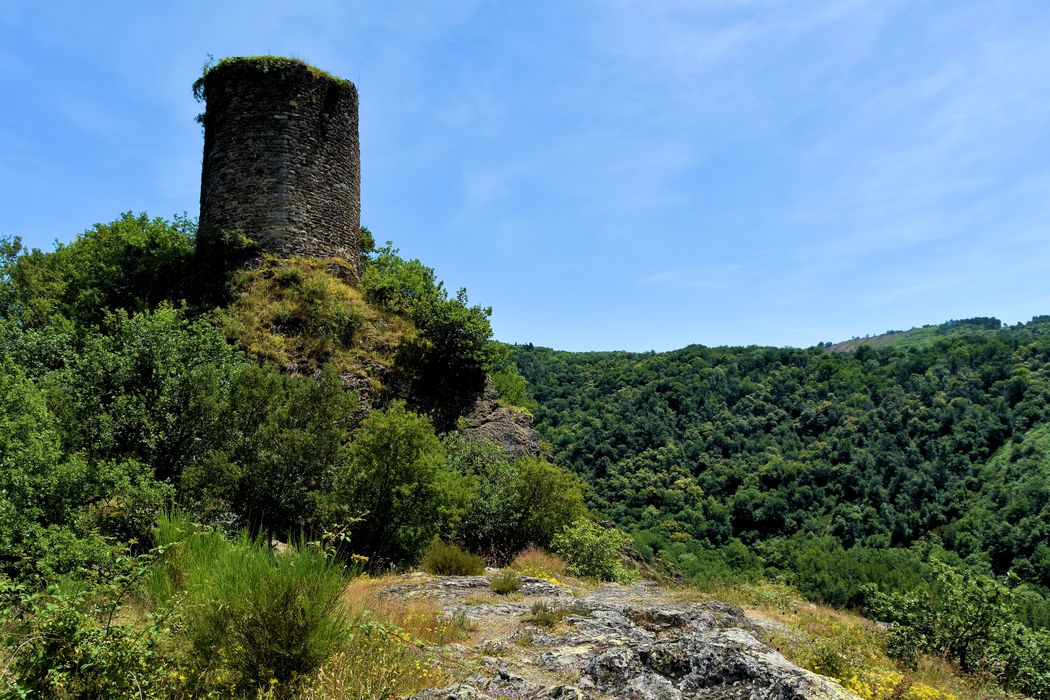 Restes du château de Thuriès : Vue générale des ruines depuis l'Ouest