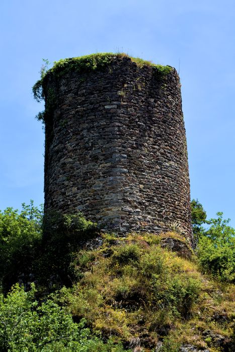 Restes du château de Thuriès : Vue générale des ruines depuis l'Ouest