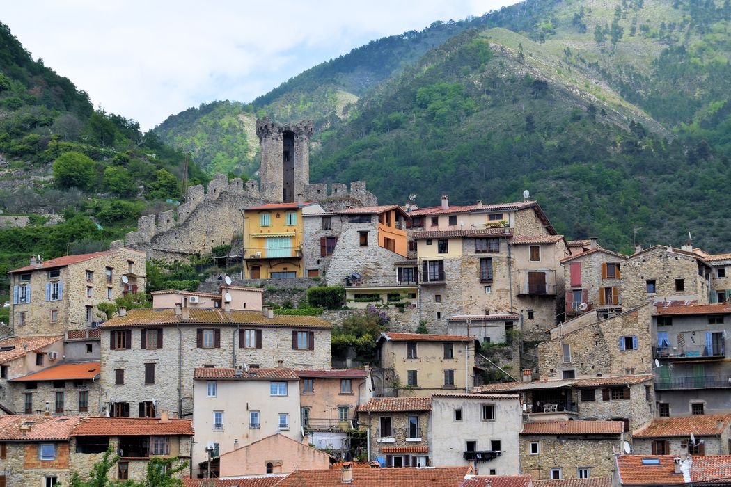 Chateau (restes) : Vue générale des ruines dans leur environnement