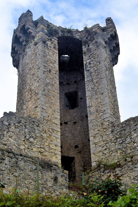 Chateau (restes) : Tour nord-est, vue générale