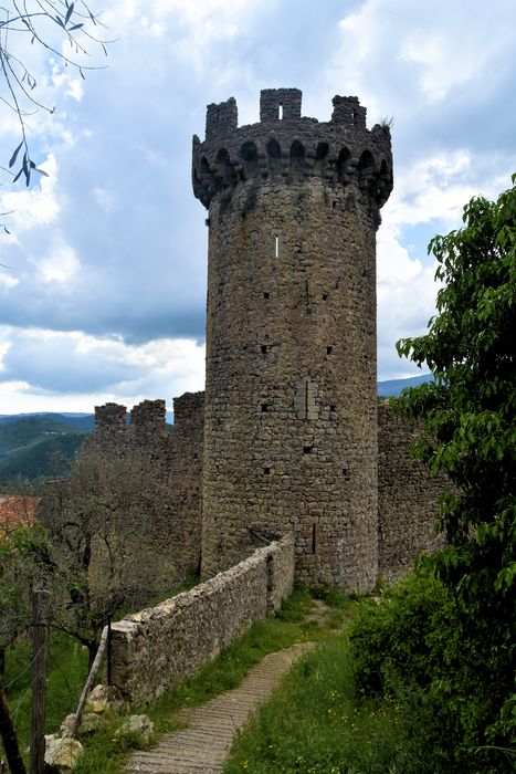 Chateau (restes) : Tour nord-est, vue générale