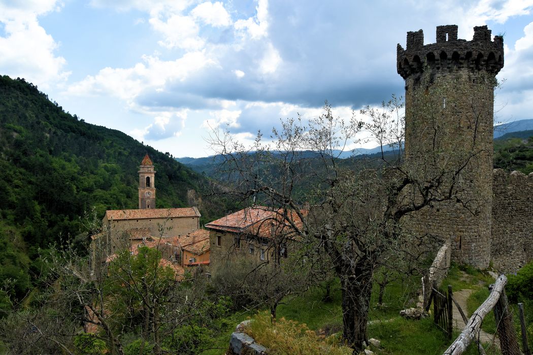 Chateau (restes) : Tour nord-est, vue générale