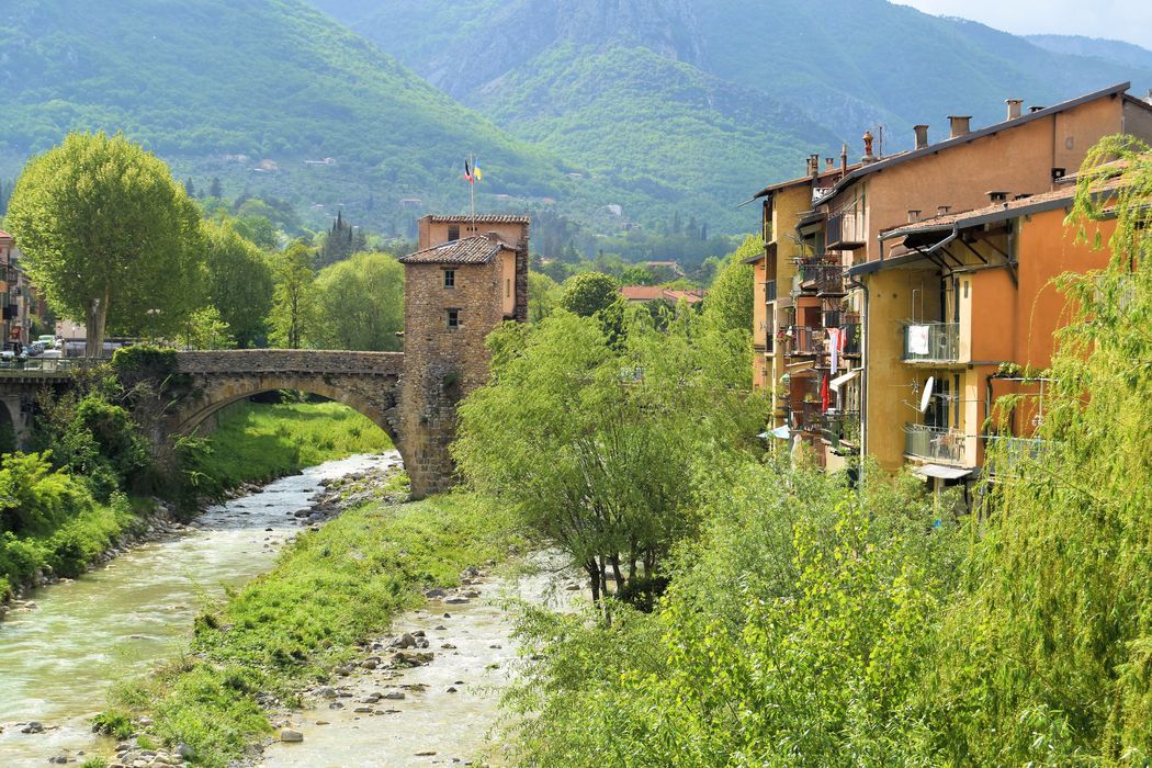 Vieux pont et tour qui le surmonte : Vue partielle du pont dans son environnement depuis l'aval