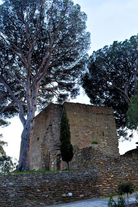 Château des Seigneurs de Foz (restes) : Vue générale