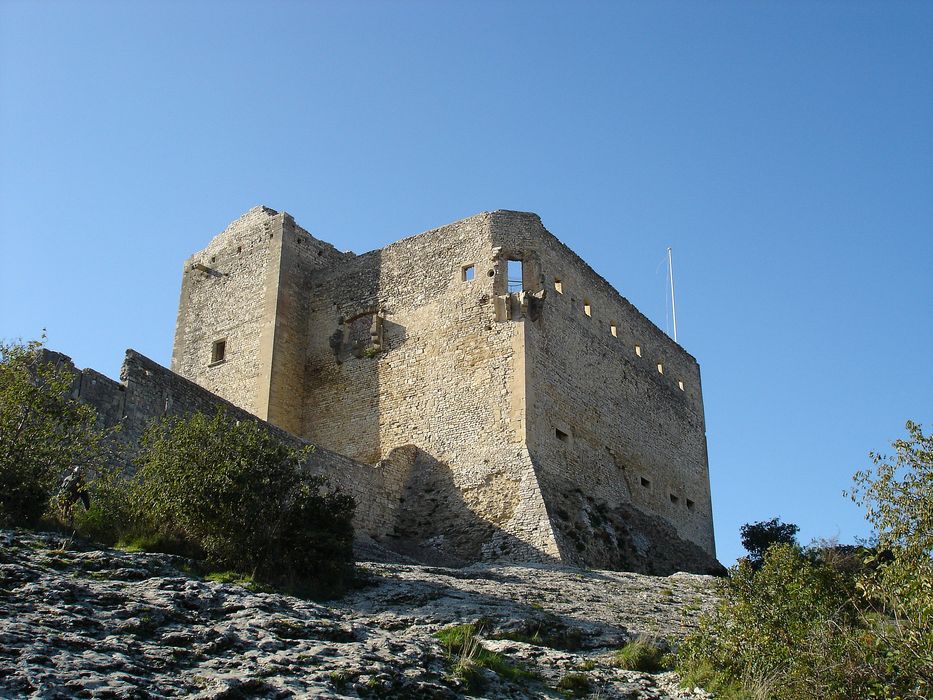 Château (ruines) : Ensemble nord-est, vue générale