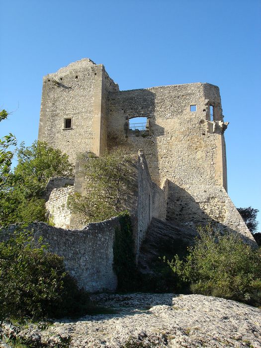 Château (ruines) : Façade est, vue générale