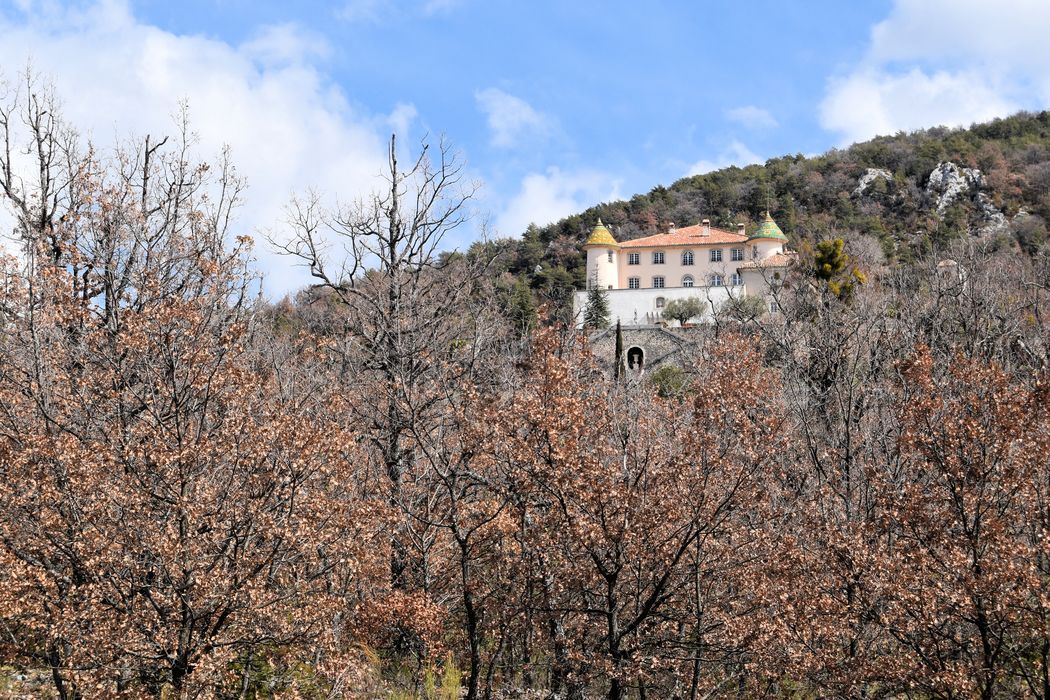 Château : Vue générale du château dans son environnement depuis le sud