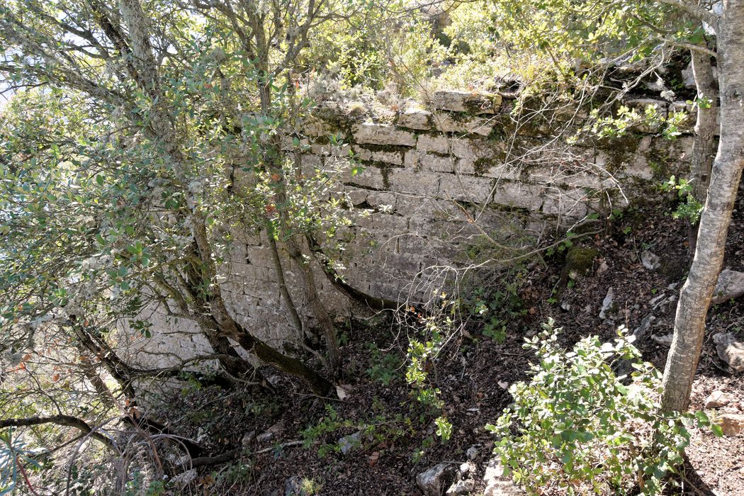 Village médiéval : Vue partielle des ruines