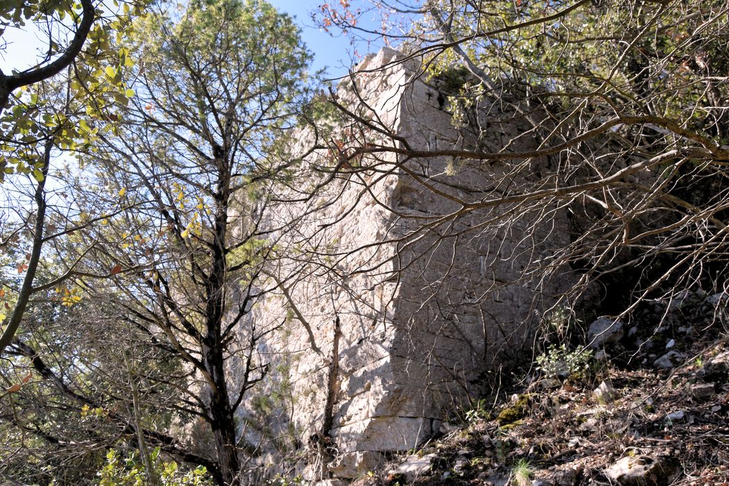 Village médiéval : Vue partielle des ruines